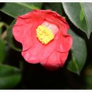 동백4로 이미지