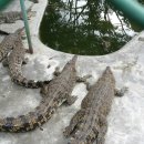 마르코농장 이미지