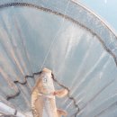 팔미리낚시터 이미지