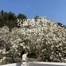 충혼탑 | 창원 충혼탑 목련 포토존 실시간 다녀온 후기