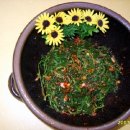 옹기의 만남 이미지