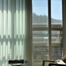 만원헤어클럽 | [안양]벨라산후조리원 2주 이용 솔직 추천 후기👼🏻 벨라 조리원 요목조목 뜯어보기