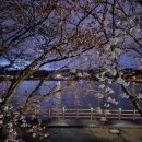 꽃지늘봄펜션 이미지