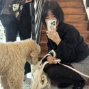 나나마트(옥동점) | 광주 상무지구 태국음식 맛집 : 나나방콕 솔직 후기