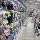 아트박스용인 - 용인시 처인구 금령로 86 | 아트박스용인