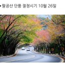 제비봉-＞팔공산 단풍및 암릉산행 이미지