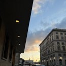 D00165 | [이탈리아-13]자유 여행 : 바티칸 패스트 트랙 / 콜로세움 입장 / (내돈내산)헬로우트래블 바티칸 투어...