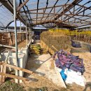 한우축사 이미지