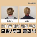 만능카클리닉 | 카나토클리닉 후기 미용실 모발샴푸 트리트먼트 사용법 (+꿀팁)