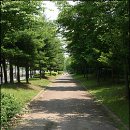 자전거 도로 이미지