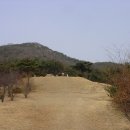 하연 선생 묘 이미지