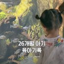 리틀훼밀리ㆍ숲속어린이집 | 26개월 아기 쥬의 육아일기 · 2025년 4월 기록