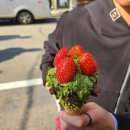 여울안경 | 전업자녀의 일상