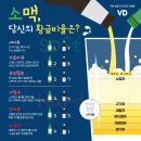 황금상회