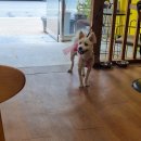 카페5110 이미지