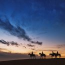 더 조은 스크린 이미지