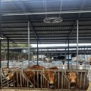 경원축사 이미지