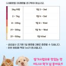 심약국 이미지