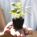 우미 린 센트럴파크 이미지