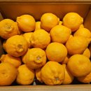 완인농장 이미지