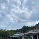 구일농장 이미지