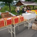 팀맥스파워 이미지