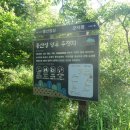 몽산142