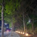 스플라스리솜 | 예산 숙소 - 스플라스리솜 후기