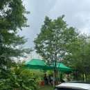 둥지백반 이미지