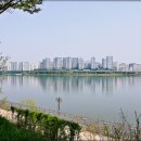 나무고아원 이미지