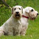 스카이동물병원 이미지