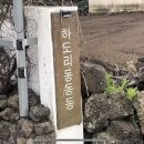 하도리 동동동 이미지