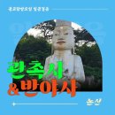 반야사불상 이미지