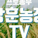 대유농장 이미지