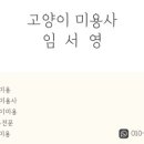 고양이미용사 임서영 이미지