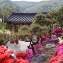 금강사 입구 이미지