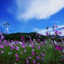 하동당구장 이미지