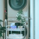 쁘띠프로방스 | 건조기 드라이시트 추천 르샤트라 쁘띠피치 건조기시트 피치향