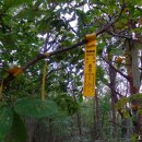 운암농로 이미지