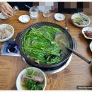 집나간오리돌아온닭백숙 이미지