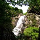 천태산죽염