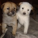 명월농장 이미지