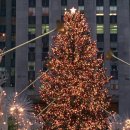 해리&샐리 이미지