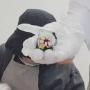 유튜버 꿈나무 이미지