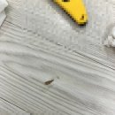 송학영무예다음2차 이미지