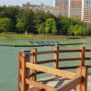 정화태양광발전소 이미지