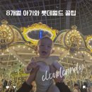 나루메드 | 서울 롯데월드 8개월 아기랑 식당 놀이기구 코스 꿀팁