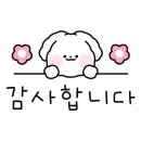 허니케이키(Honey Cakey) 네이버블로그