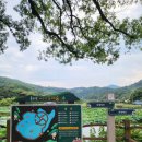 틀모산 도시숲 이미지