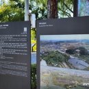 백제결혼정보 이미지